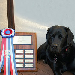 Meg poses with the AOCNC Novice Trophy won by SLDTC dogs in June 2005.